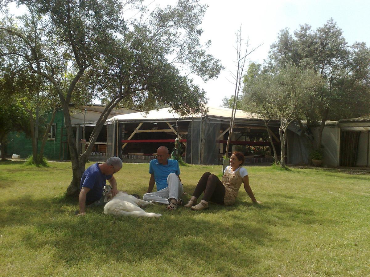 Peace Tent Villa Kfar Rut Habitación foto