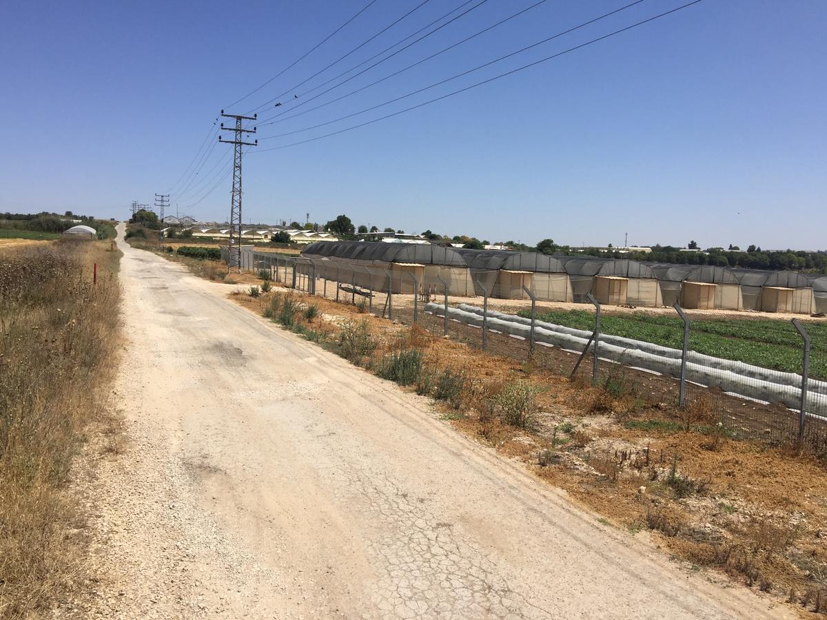 Peace Tent Villa Kfar Rut Exterior foto